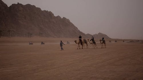 People Riding Camels in a Desert