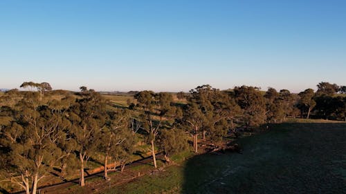 Drone Footage of a Rural Area 