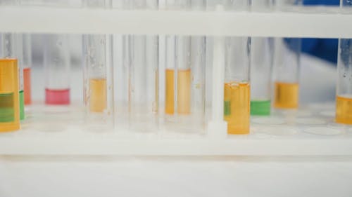 Close up of Test Tubes in a Test Tube Rack