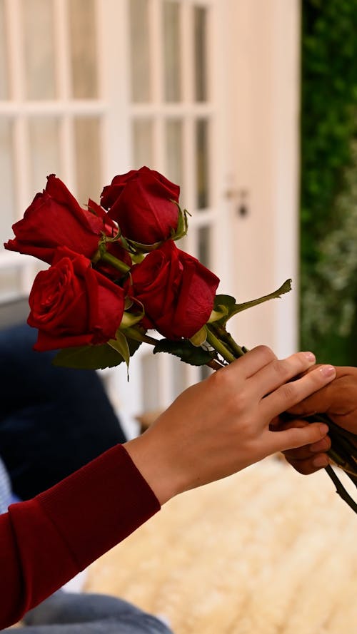 Handing Out Roses Hand Holding Red Roses Bouquet Free Stock Video Footage, Royalty-Free ...