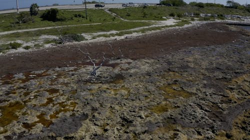 Aerial Footage of a Drought Land