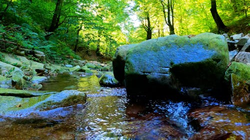 Close Up Shot of a Rocky River