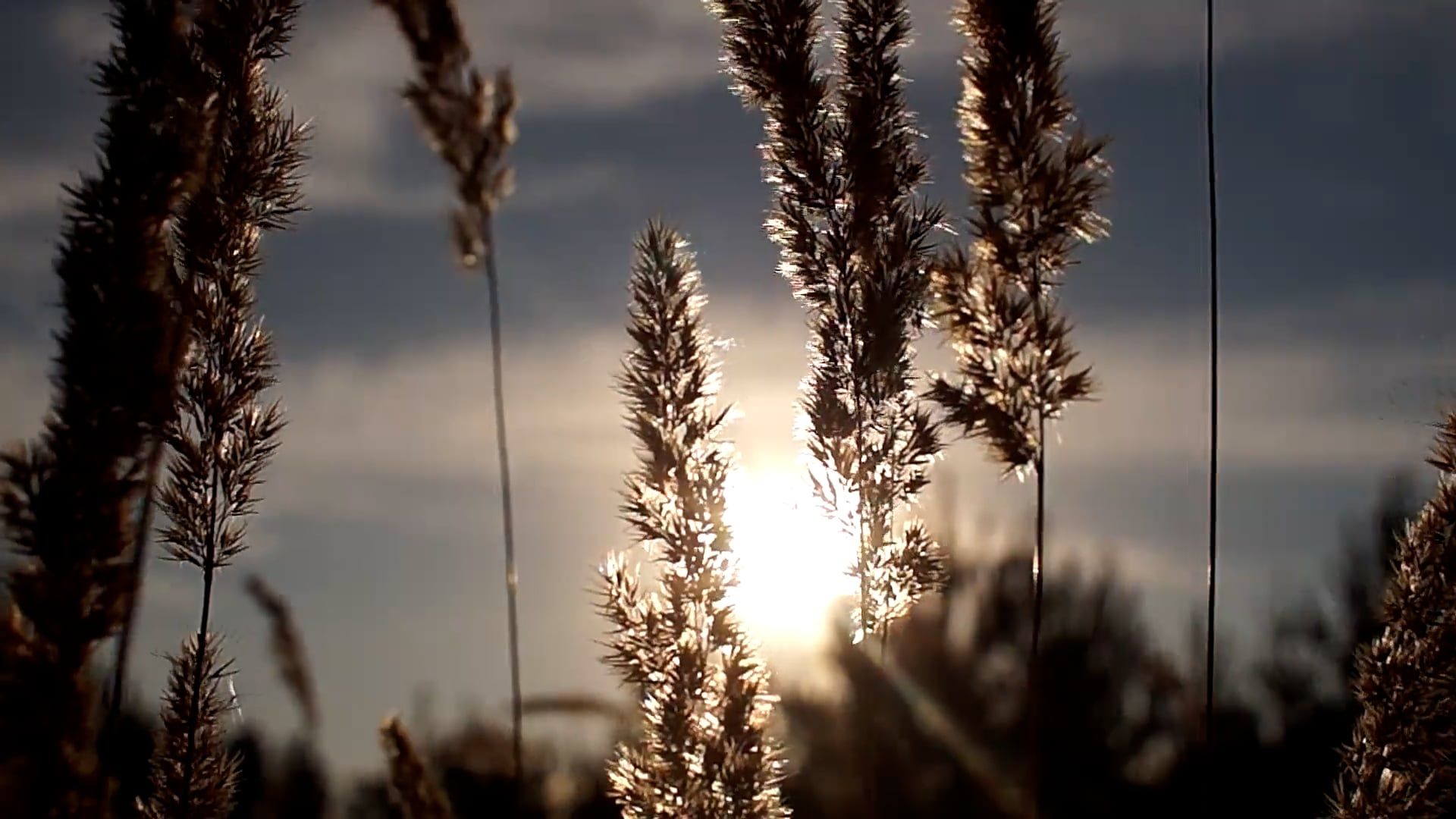 Video by Ruslan Sikunov
