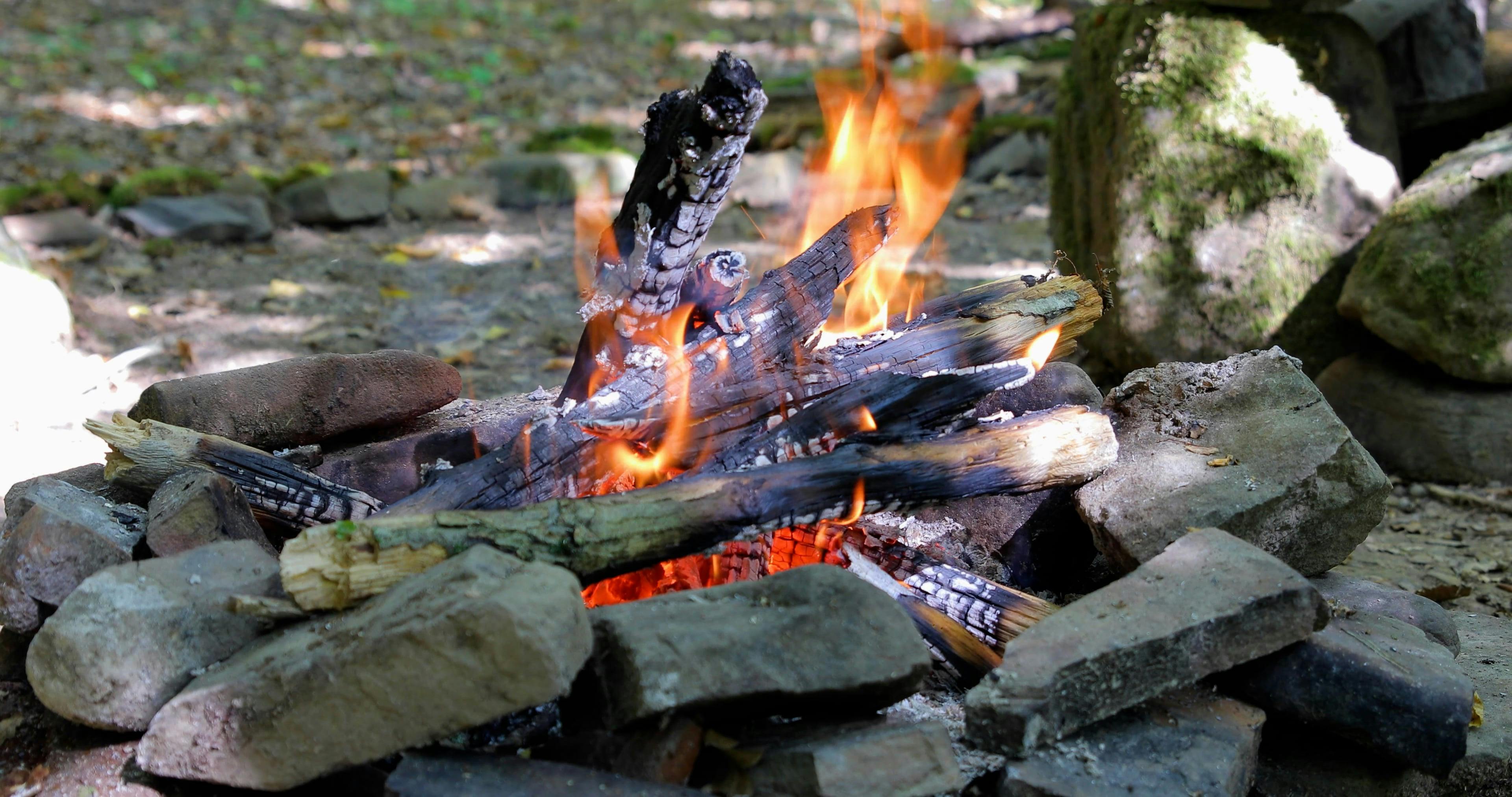 Video by Oksana Kalacheva