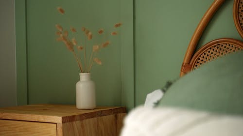 Potted Plant on a Side Table