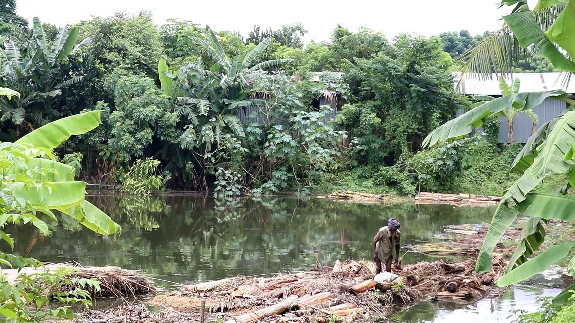 Jute Farming Videos Download The Best Free 4k Stock Video Footage