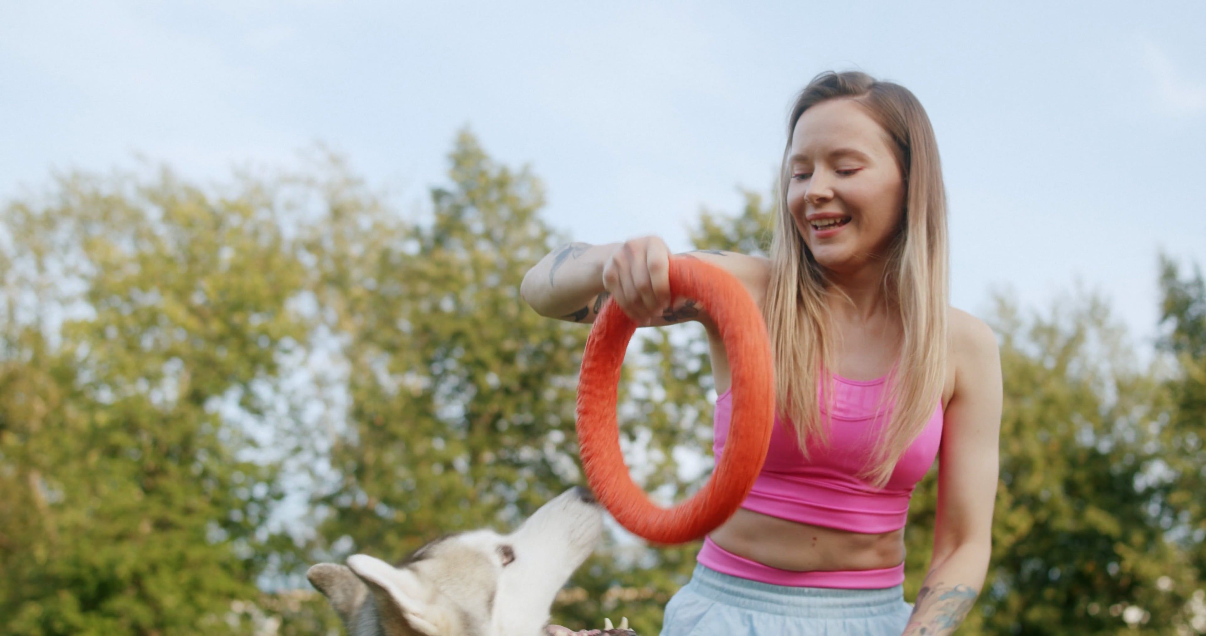 Pet Trainer video