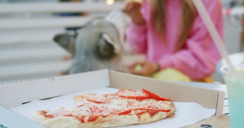 A Woman Eating Pizza with Her Dog