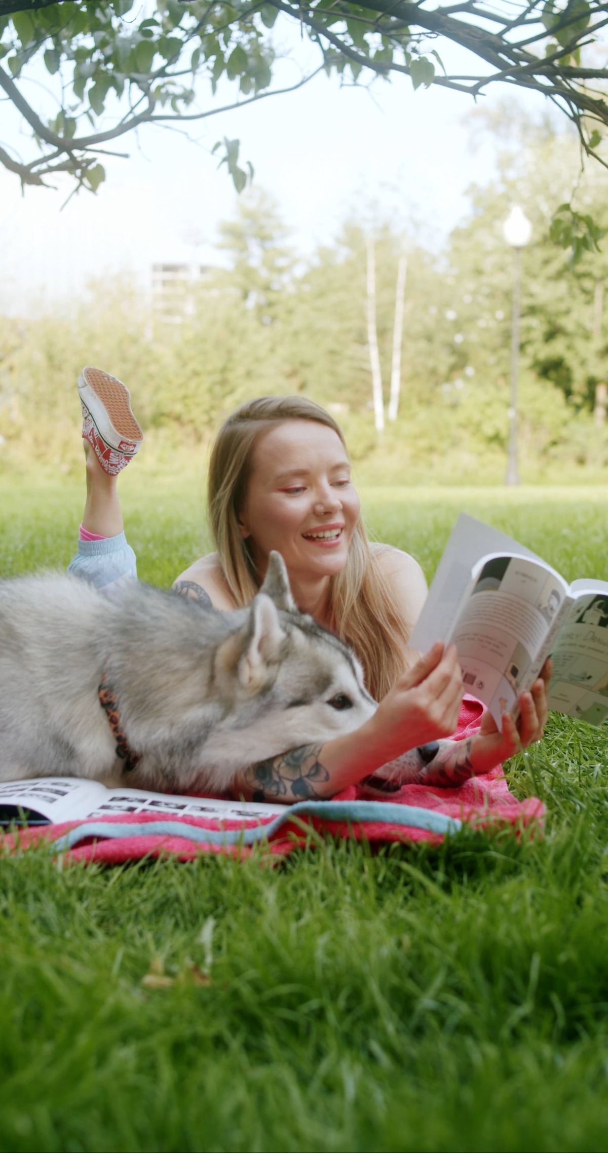 Happy Dog Videos, Download The BEST Free 4k Stock Video Footage & Happy ...