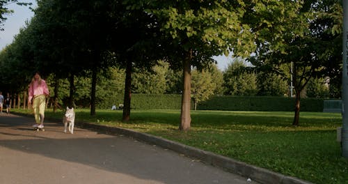 A Woman Riding a Longboard while Walking Her Dog