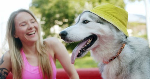 Woman Putting Hat on a Dog