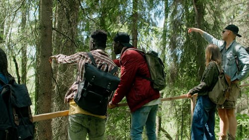 Group of hikers looking at view in forest