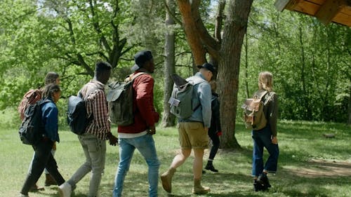 Group of backpackers hiking in forest