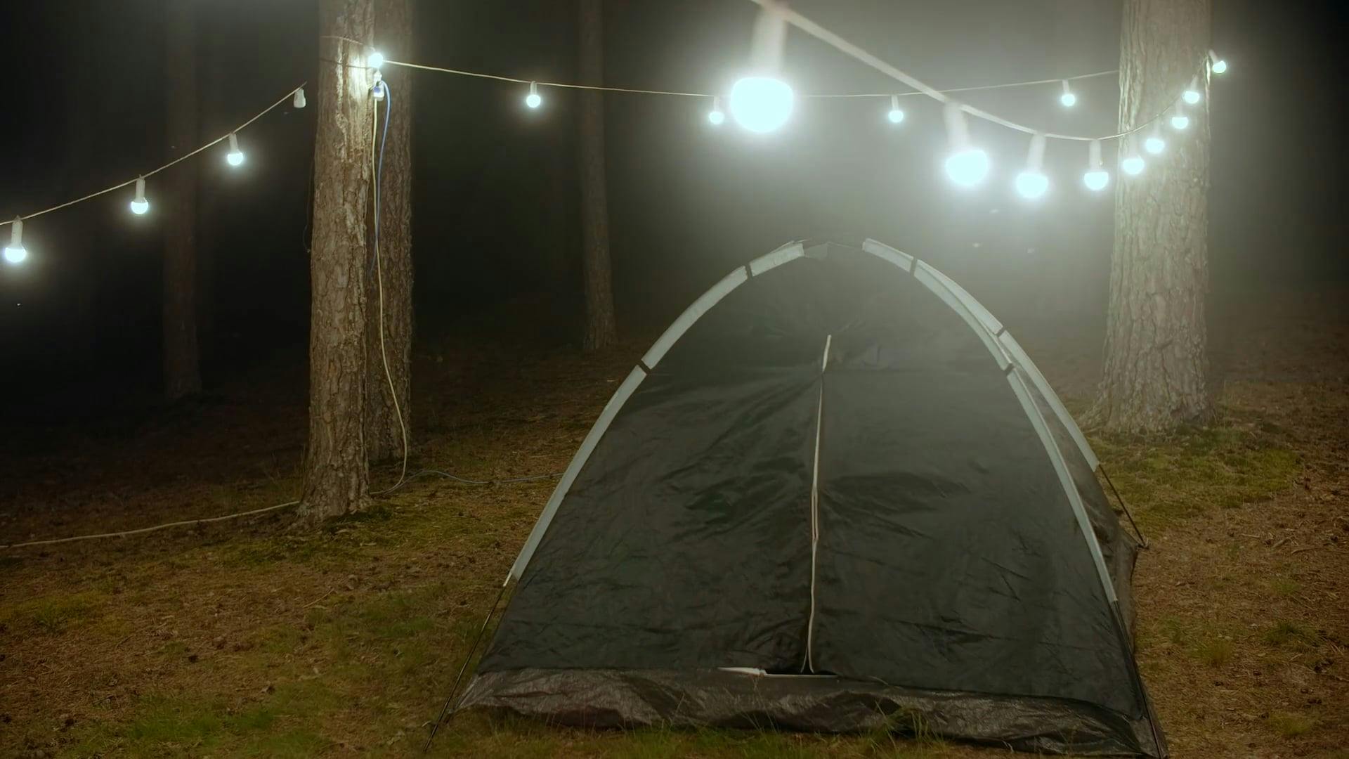 Person closing tent in forest Free Stock Video Footage, RoyaltyFree 4K & HD Video Clip