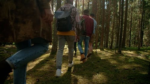Group of people hiking in forest