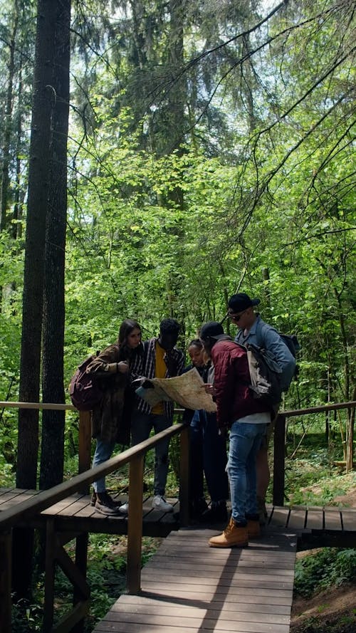 Tourists Looking at a Map