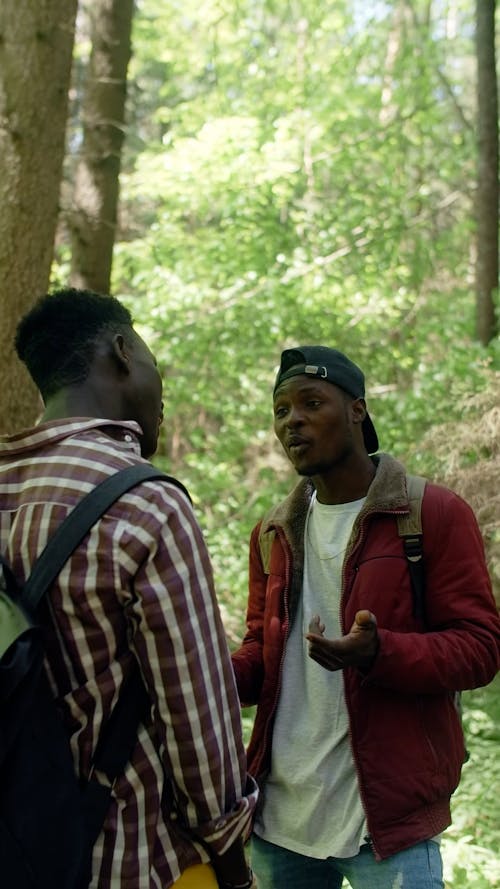 Men Talking While in a Forest