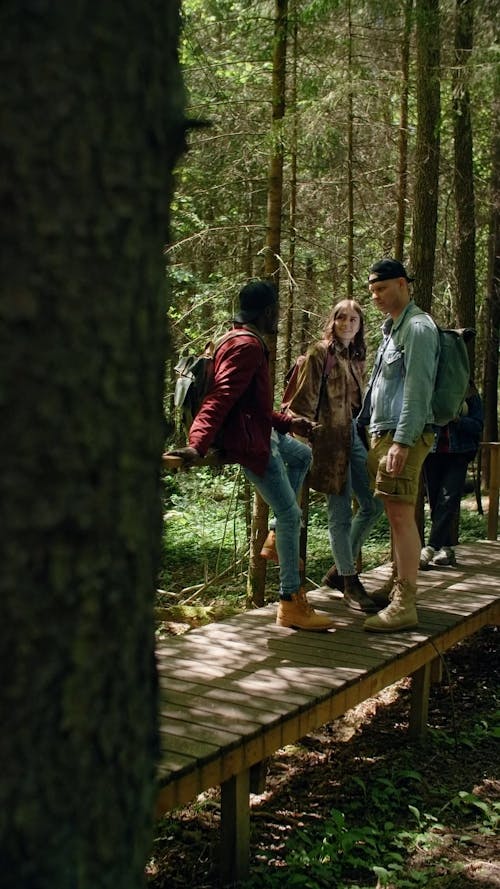 People Standing in a Bridge in a Forest