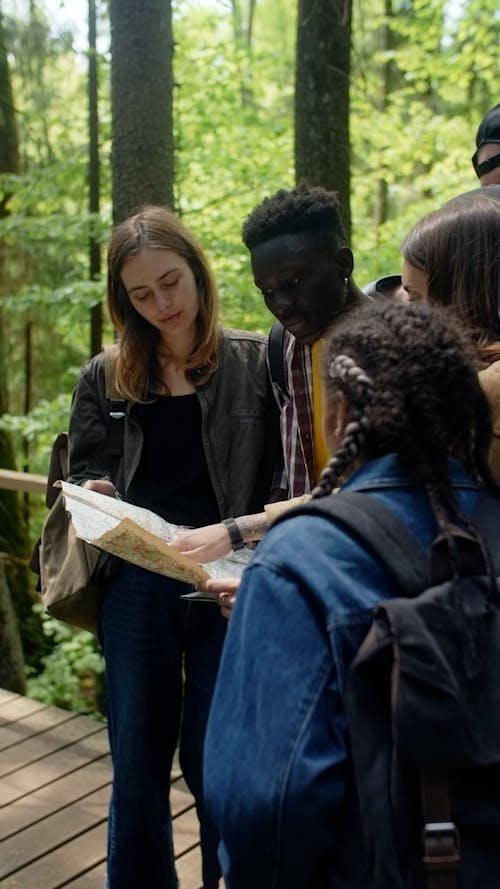 Group of hikers looking at map in forest