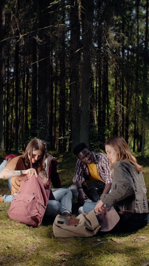 People Sitting on the Grass