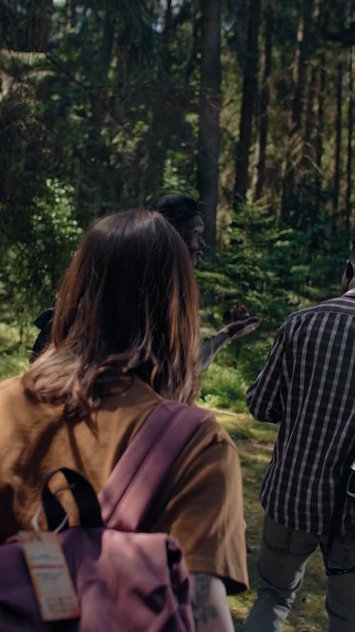 A Group of Friends Walking in the Woods