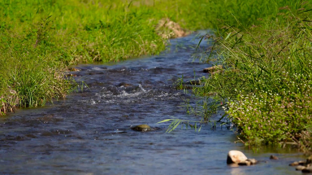 Water Flowing in the RIver Free Stock Video Footage, Royalty-Free 4K ...