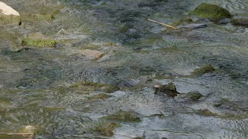 Water Flowing Through Mossy Rocks 