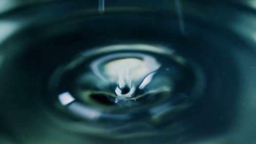 Close-Up Shot of Water Droplets Falling Onto a Calm Water