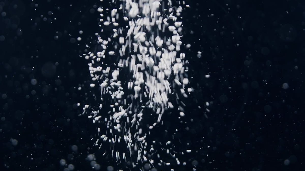 White Live Wallpaper Videos, Download The BEST Free 4k Stock Video