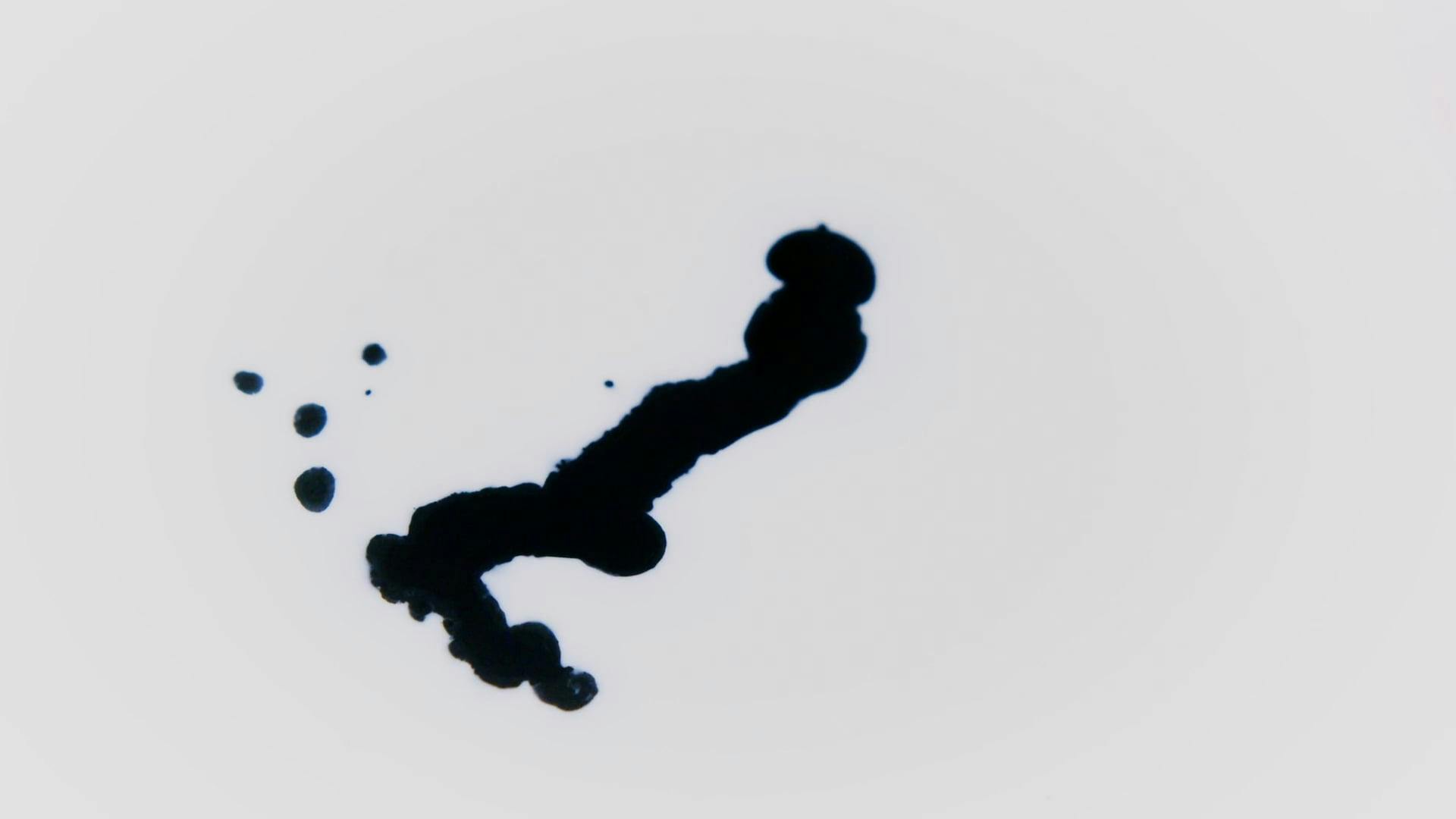 White Paint Drop Background Videos, Download The BEST Free 4k Stock