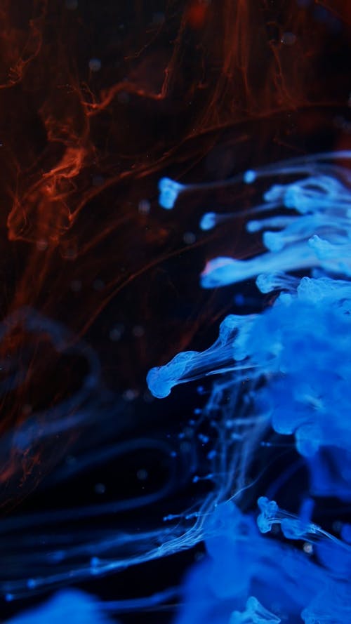 Colorful Ink Diffusion in Water