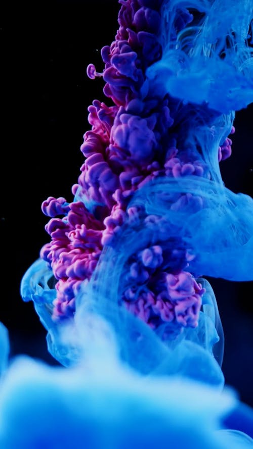 High-Speed Photography of Colorful Ink Diffusion in Water