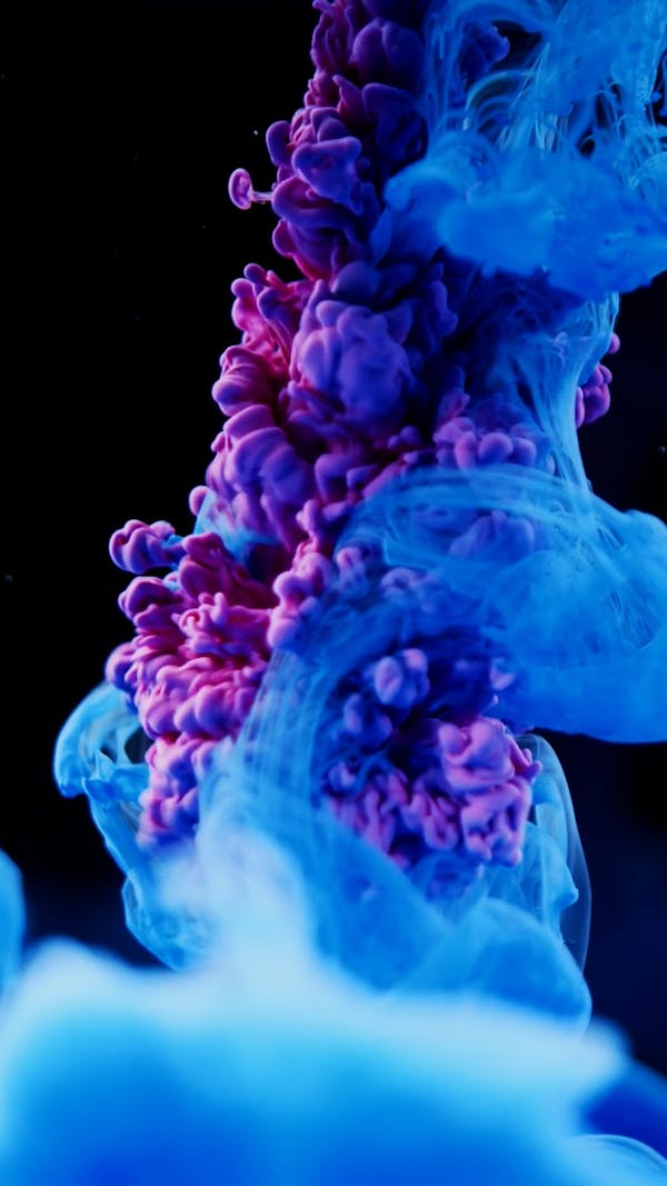 Cg Videos, Download The BEST Free 4k Stock Video Footage & Cg HD Video