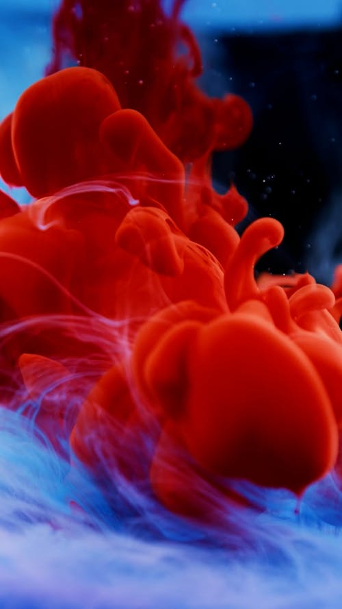 Close-Up Shot of Red Ink Diffusion in Water