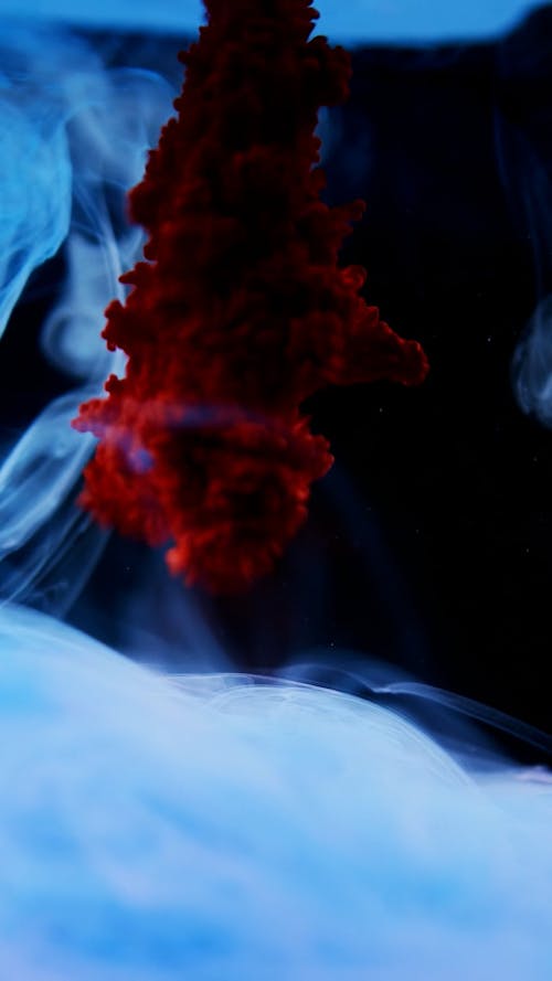High-Speed Photography of Red Ink Diffusion in Water