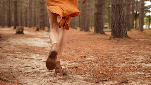 A Person Running at the Forest