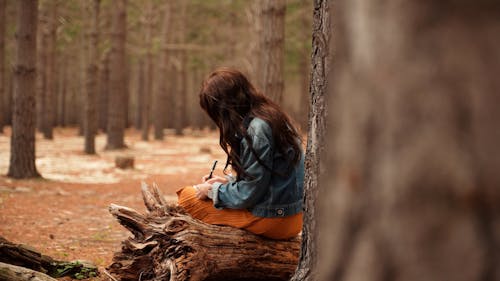 A Woman Sitting on a Tree Trunk while Writing