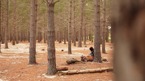 A Person Sitting on a Tree Trunk