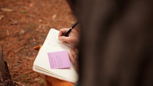 A Person Writing on a Journal