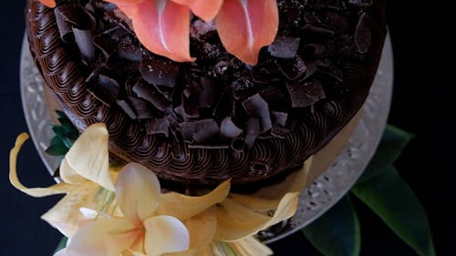 Close-up of chocolate cake with flowers