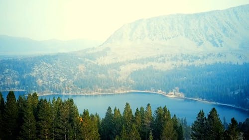 Lake in a Forest in California