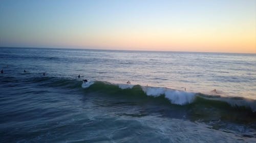 Surfers on the Sea