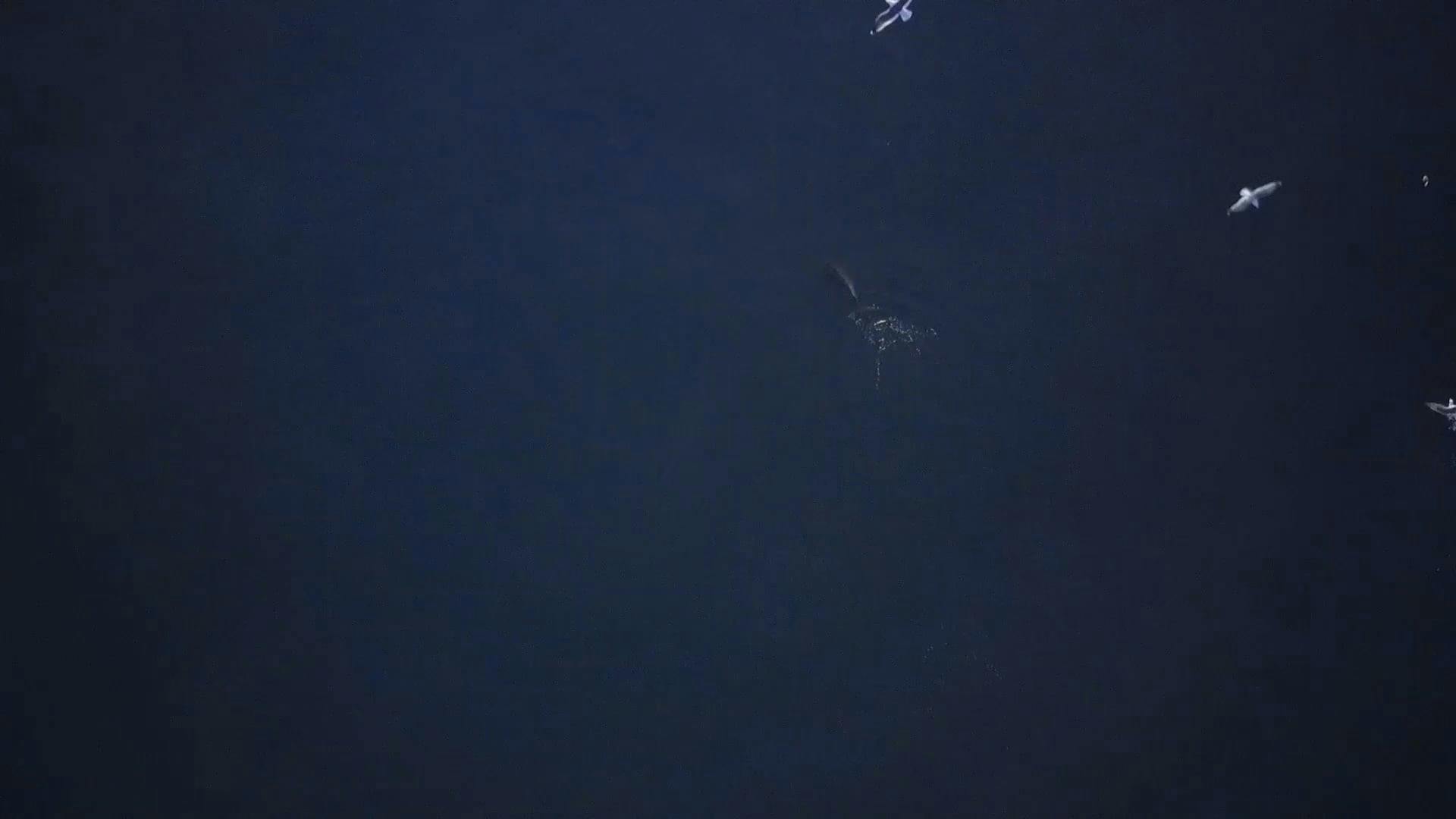 Video by Kindel Media