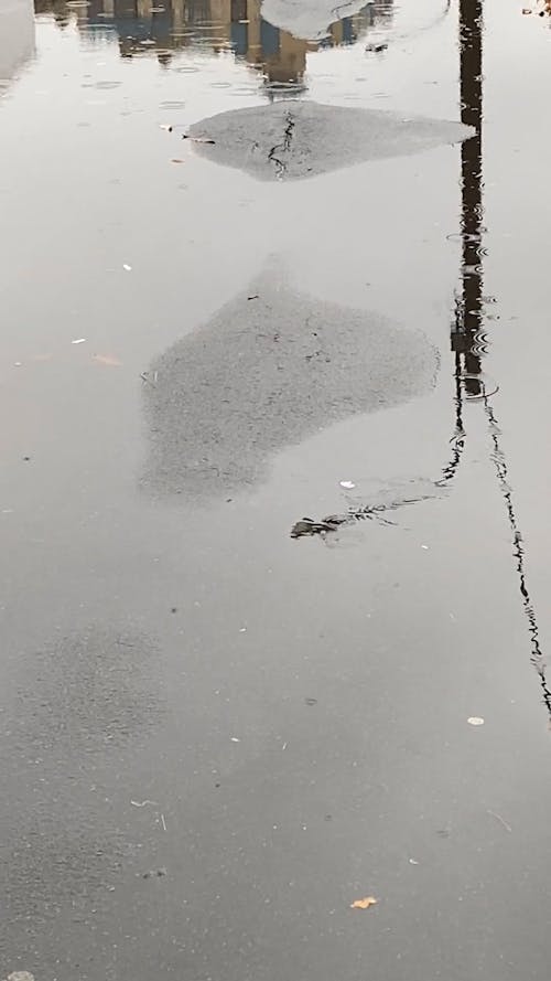 Rain falling into puddle on street