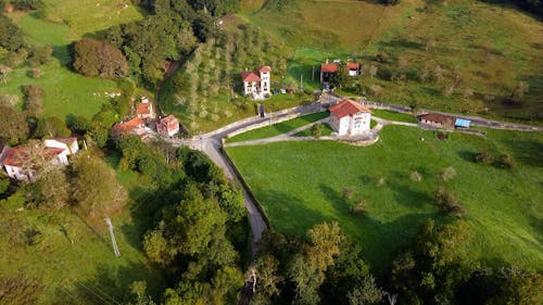 Drone shot of houses and trees