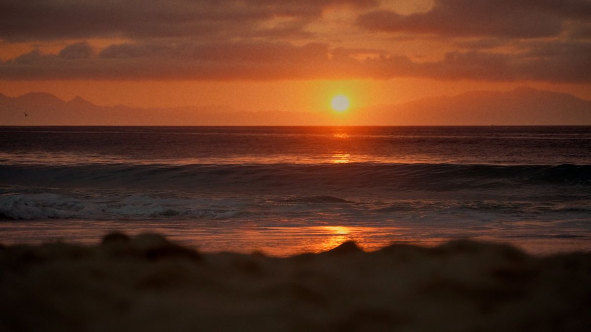 A couple walking on the beach at sunset Free Stock Video Footage ...