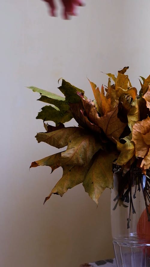 A Person Touching an Autumn Leaves on a Glass Vase