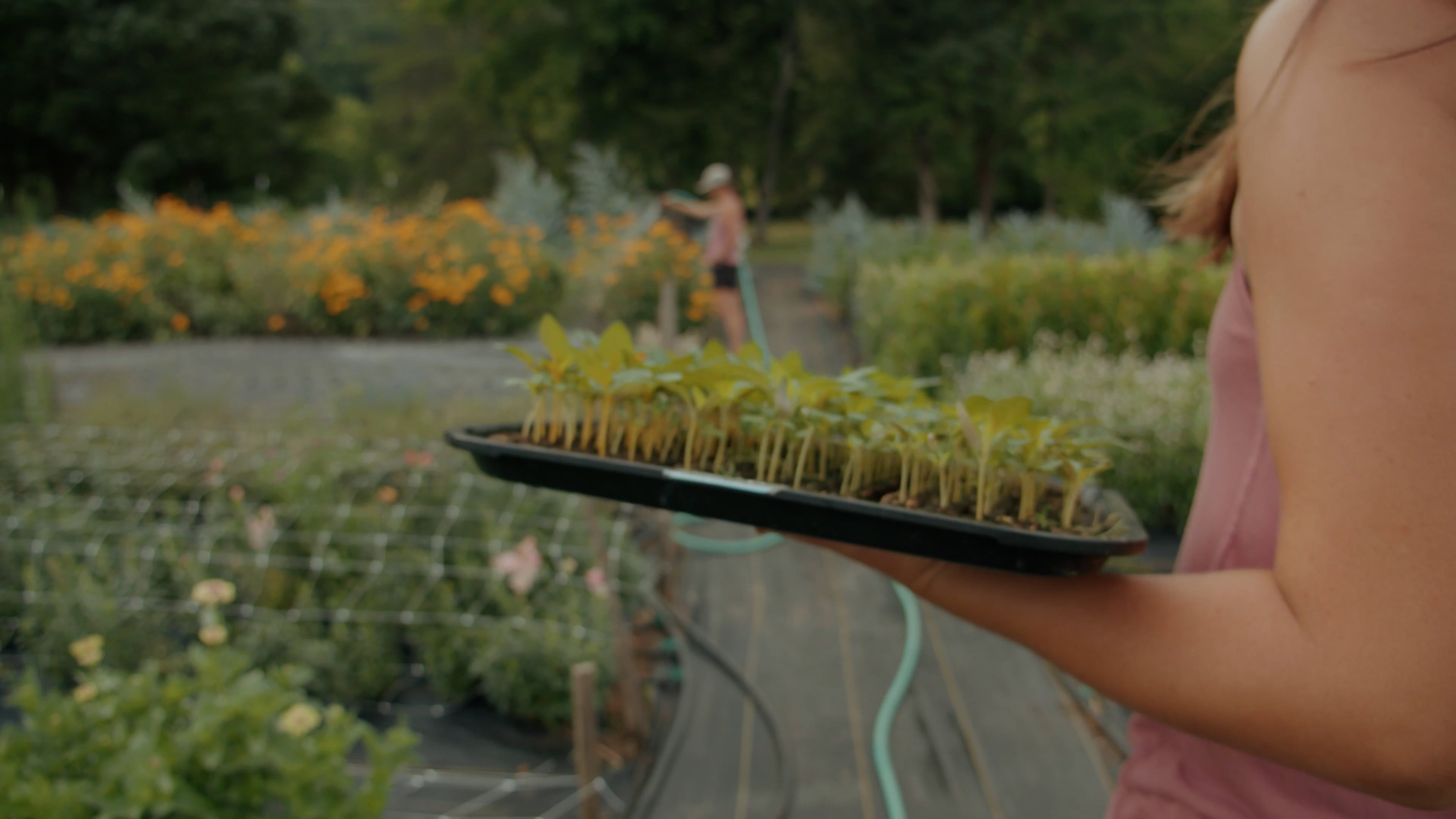 Flower Farm video