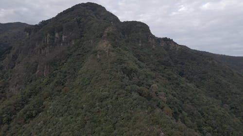 Drone Footage of a Lush Mountainside