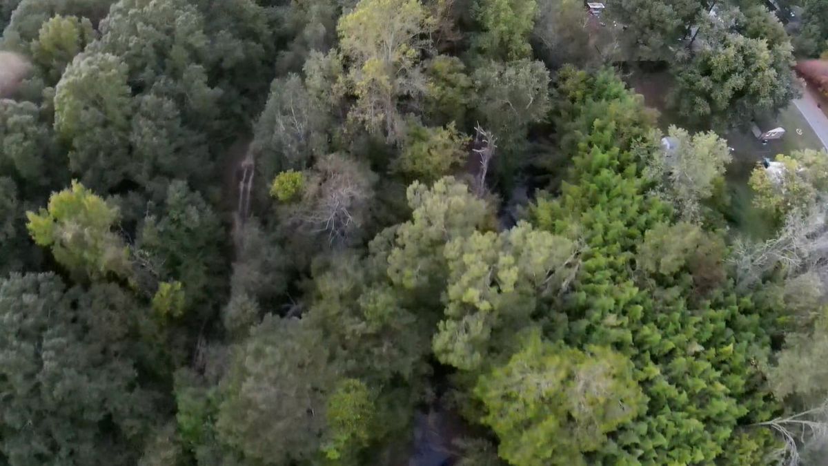 Drone Footage Of River In The Forest Free Stock Video Footage, Royalty ...